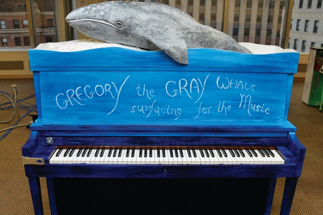 Gregory The Gray Whale