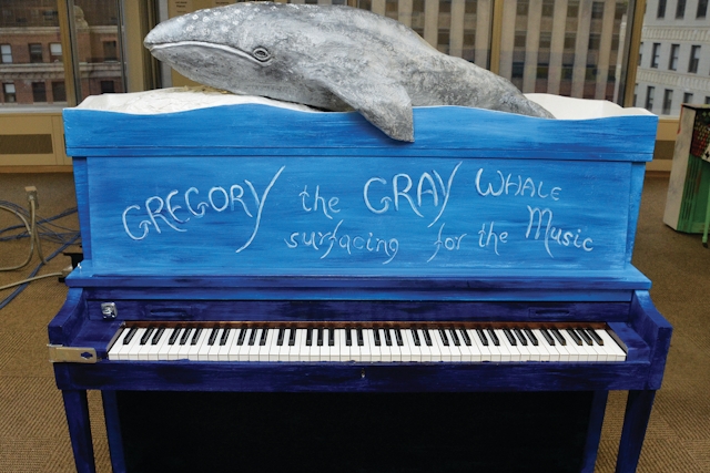 Gregory The Gray Whale